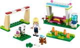 LEGO 41011